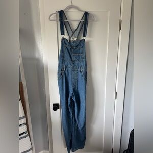 We the free ziggy denim overalls